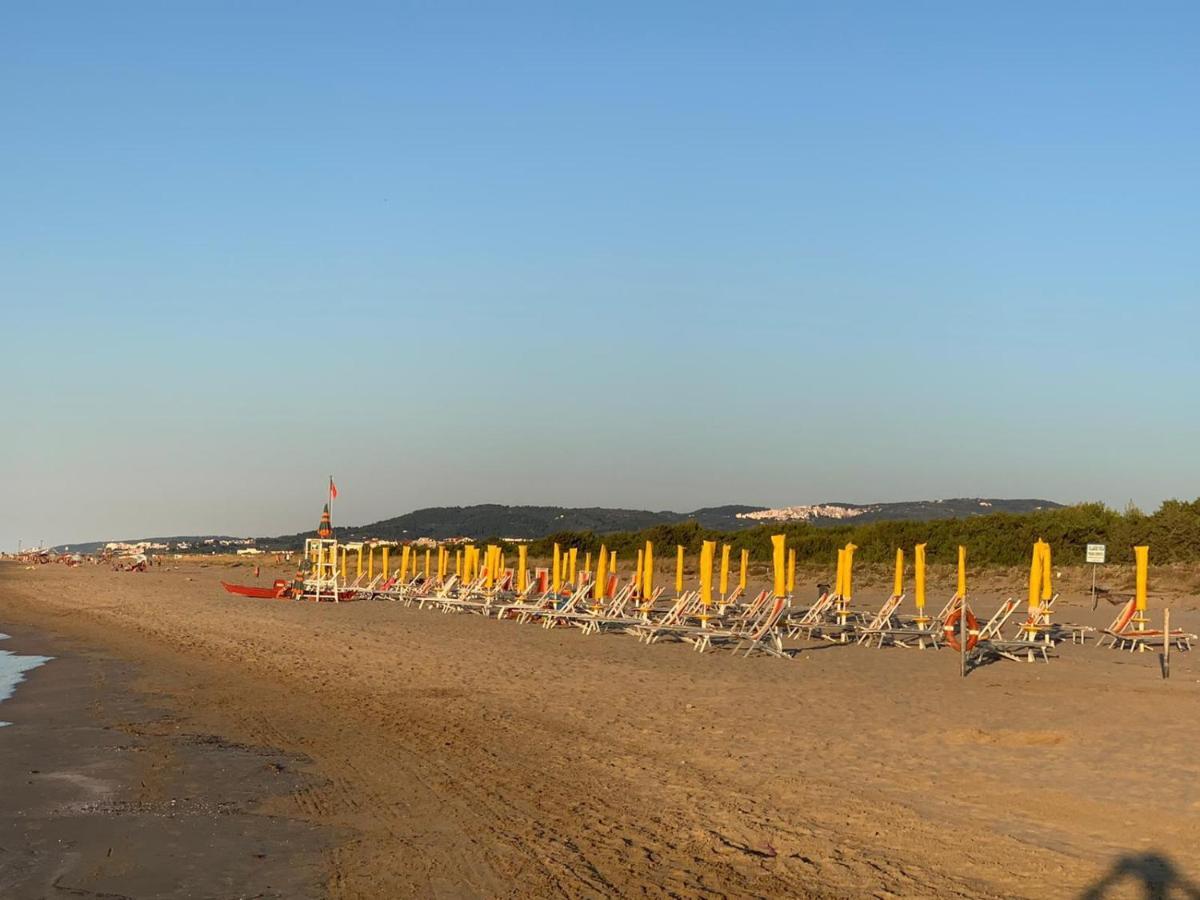 פוצ'ה ואראנו Viola Club Village & Camping מראה חיצוני תמונה