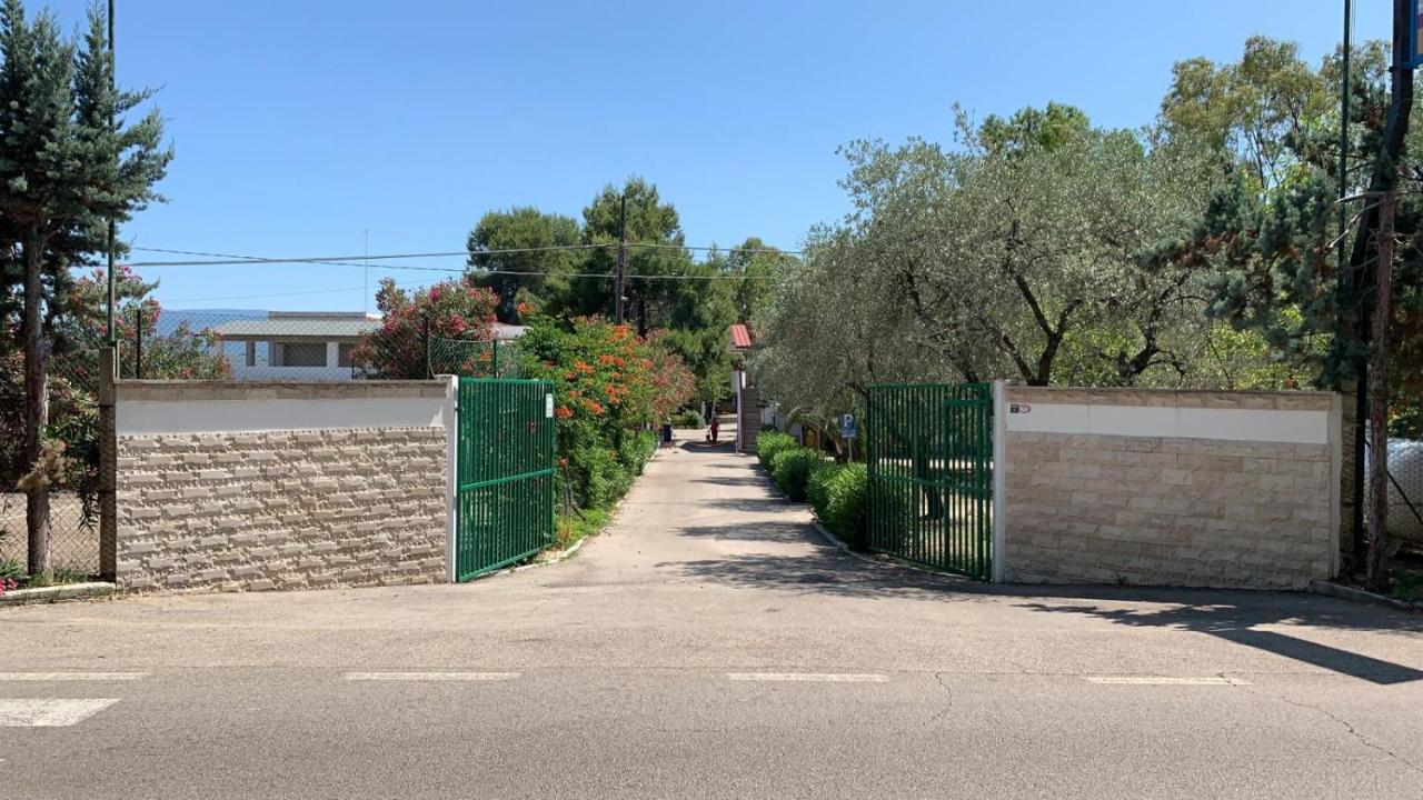 פוצ'ה ואראנו Viola Club Village & Camping מראה חיצוני תמונה