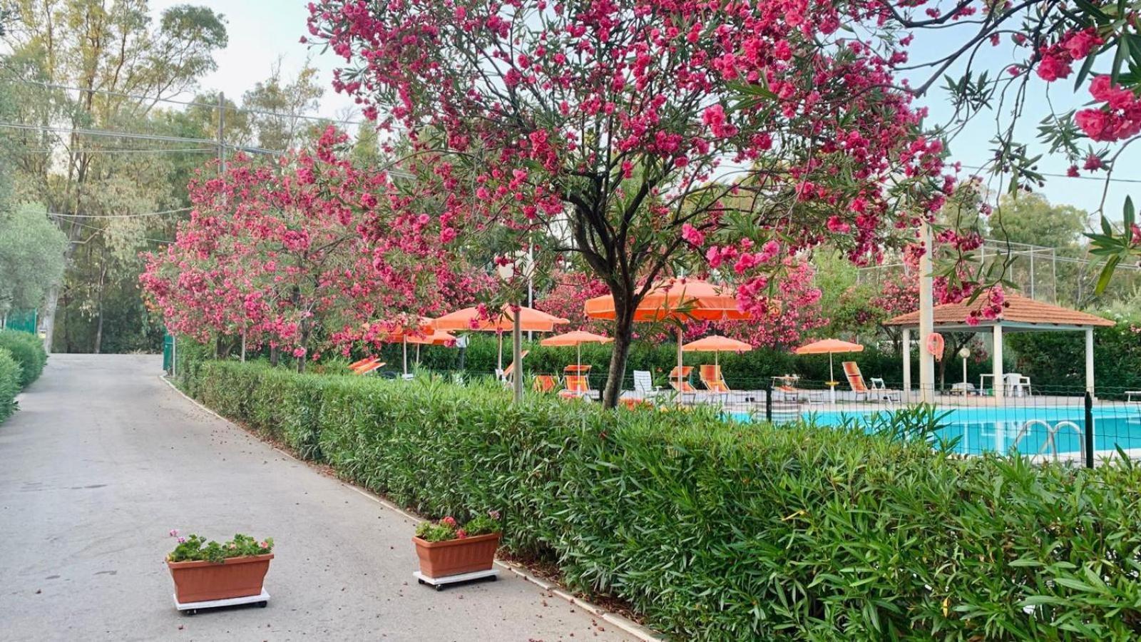 פוצ'ה ואראנו Viola Club Village & Camping מראה חיצוני תמונה