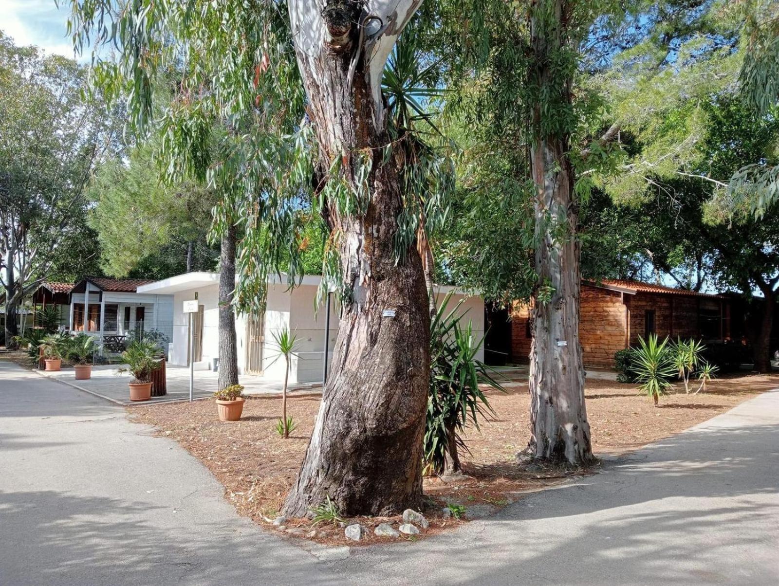פוצ'ה ואראנו Viola Club Village & Camping מראה חיצוני תמונה