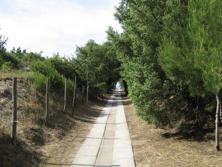 פוצ'ה ואראנו Viola Club Village & Camping מראה חיצוני תמונה