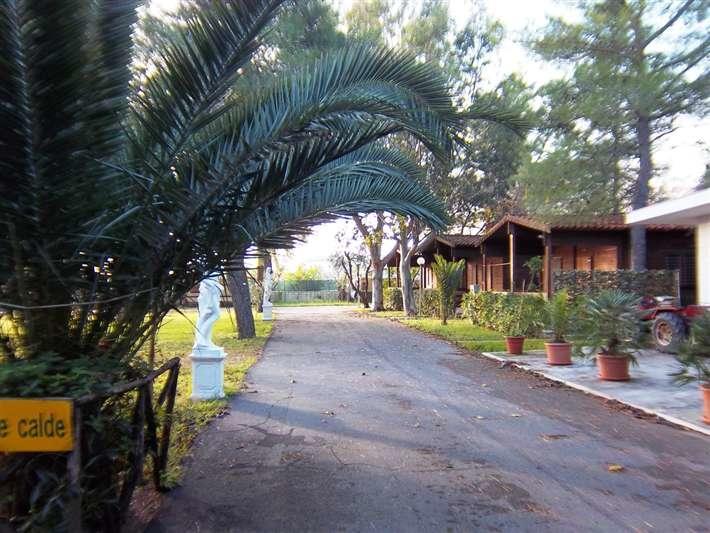 פוצ'ה ואראנו Viola Club Village & Camping מראה חיצוני תמונה